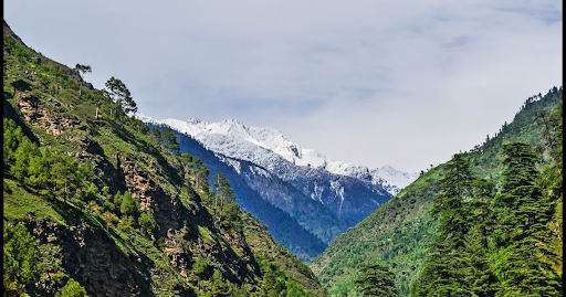 Scenic View of Great Himalayan National Park